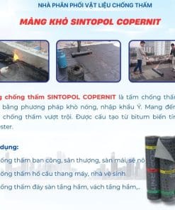 Màng chống thấm khò nóng Copernit Ý